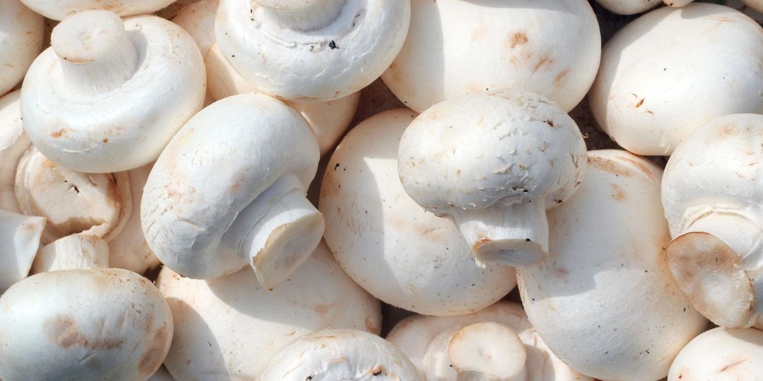 Mushrooms