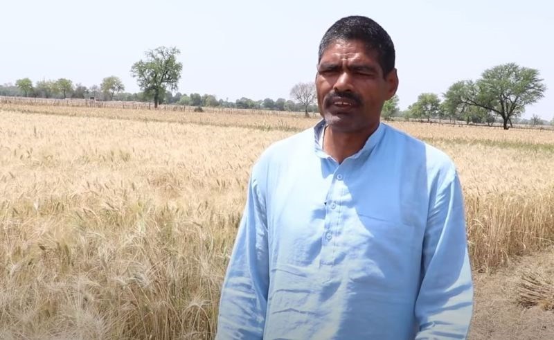 Farmer