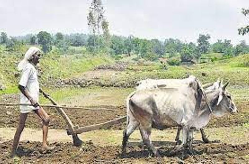 Farmer