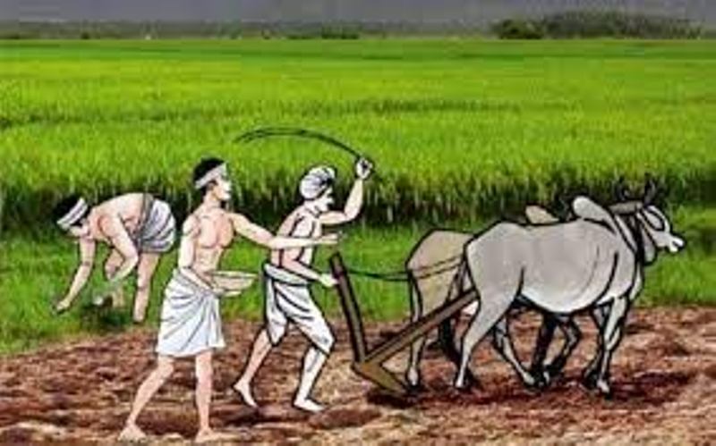 kisan