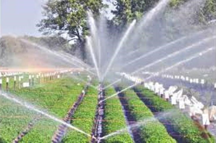 Micro Irrigation