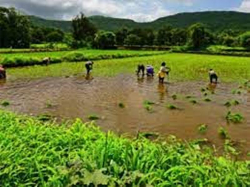 Irrigation