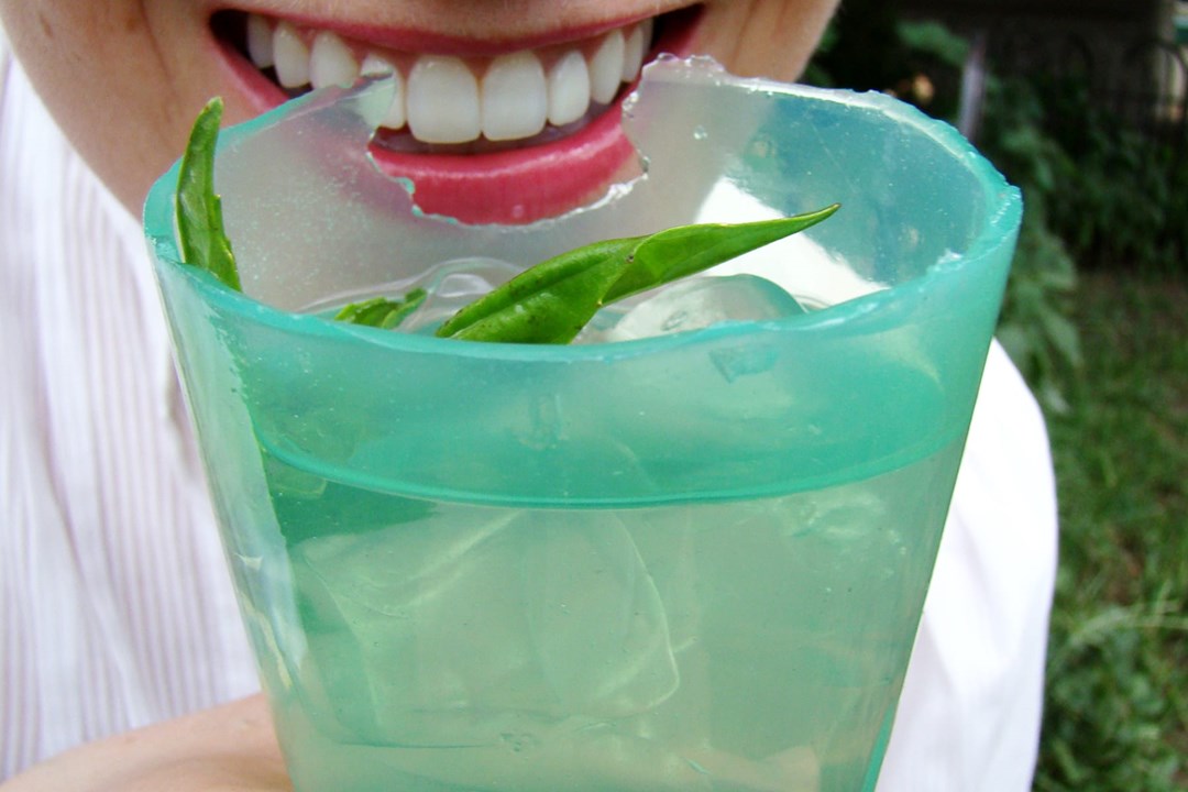 ediblecup