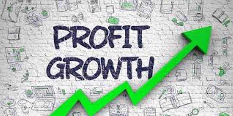 Profit
