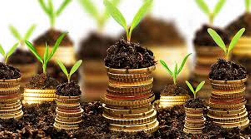 agriculture business ideas