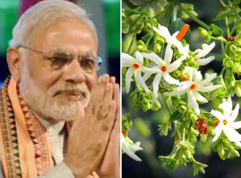 Modi
