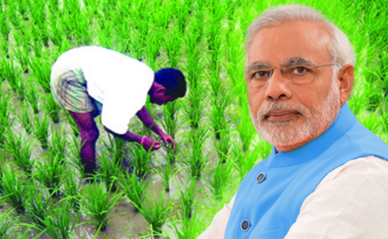 Kisan