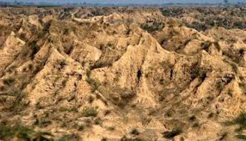chambal