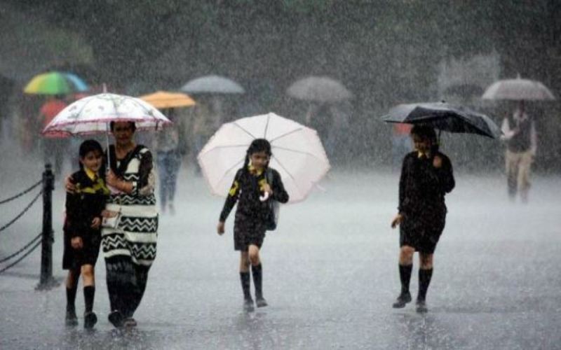 Rain