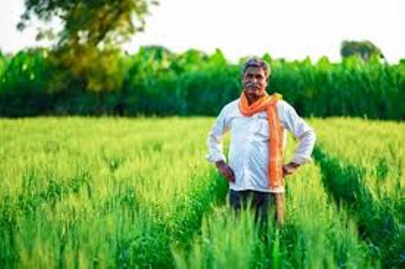 Farmer