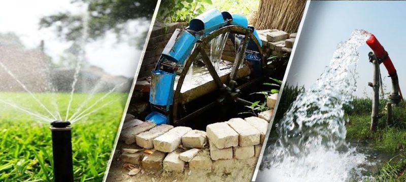 irrigation
