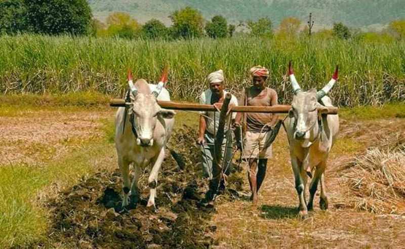 Farmer