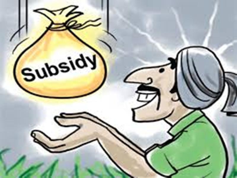 subsidy