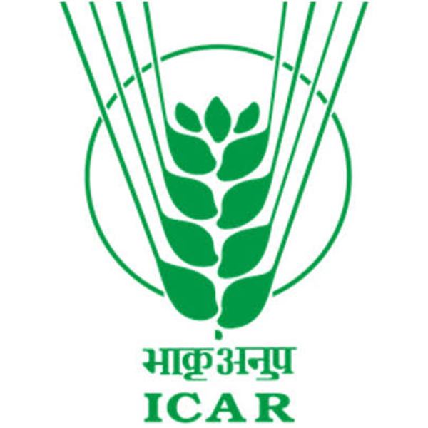 Icar