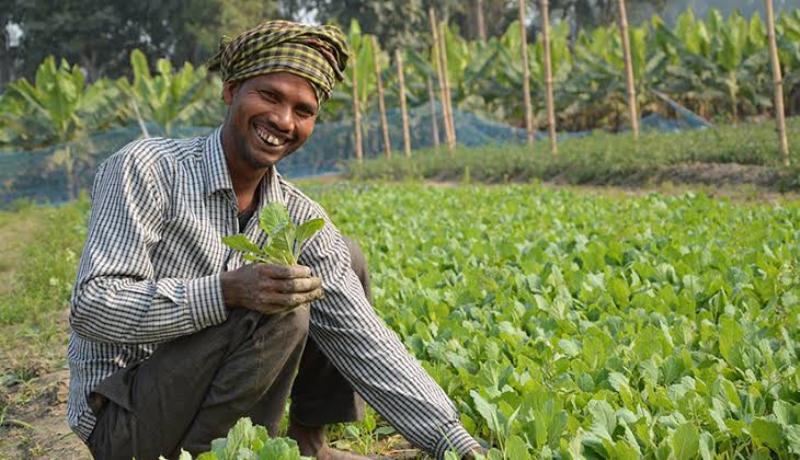 Farmer