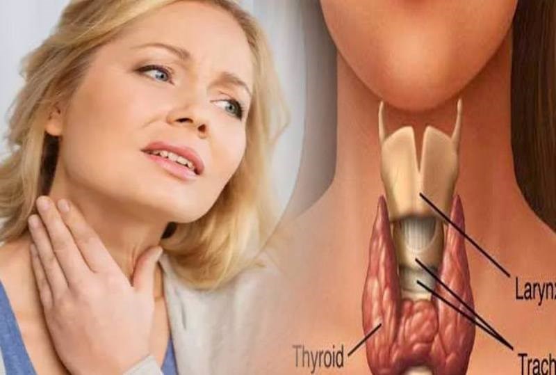 Thyroid