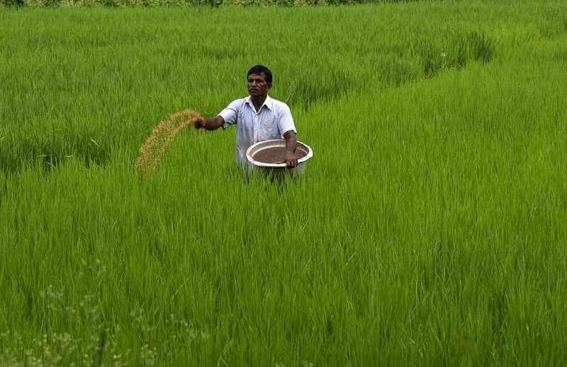 Farmer
