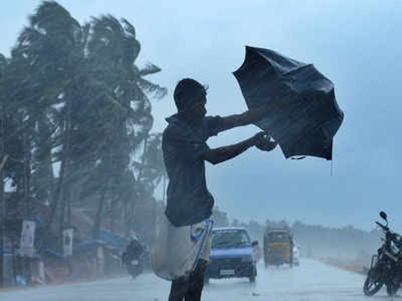 Rain