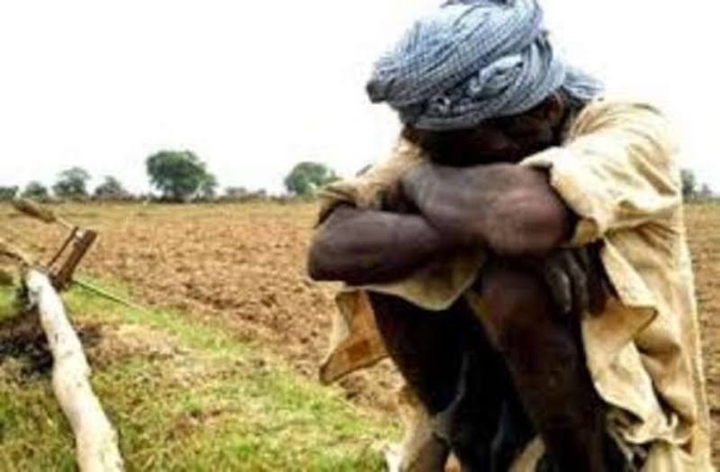 kisan