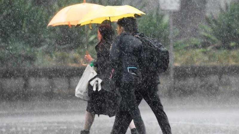 Rain