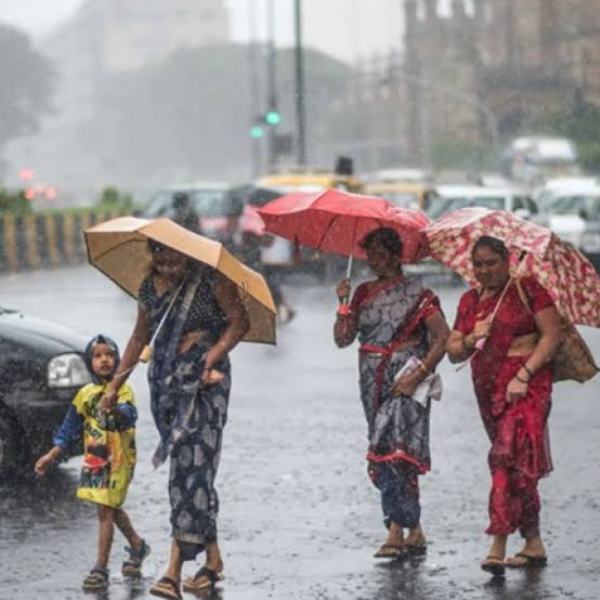 Rain