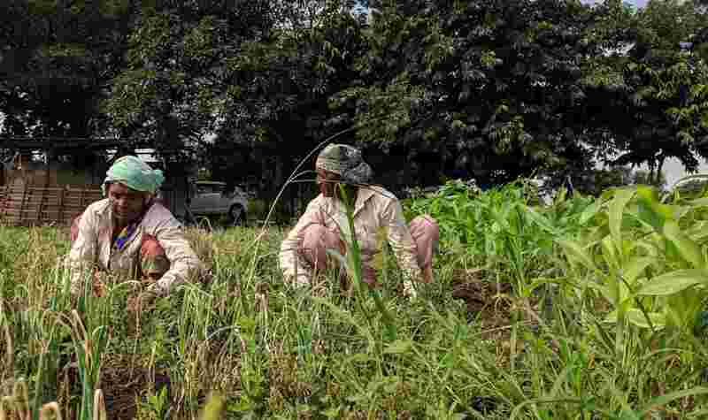 Women Farmer