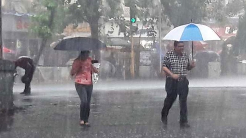 Rain