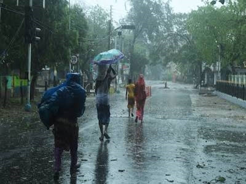 Rain
