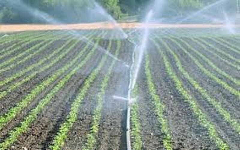 irrigation