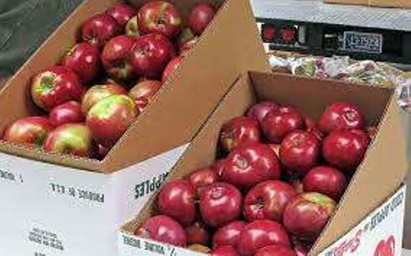 apple