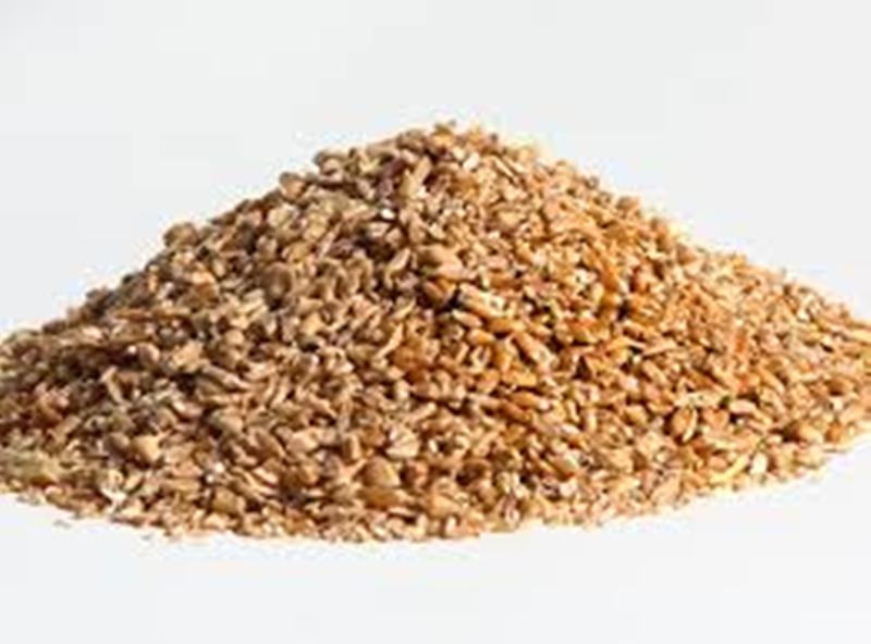 wheat