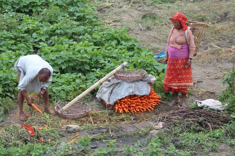 farmer