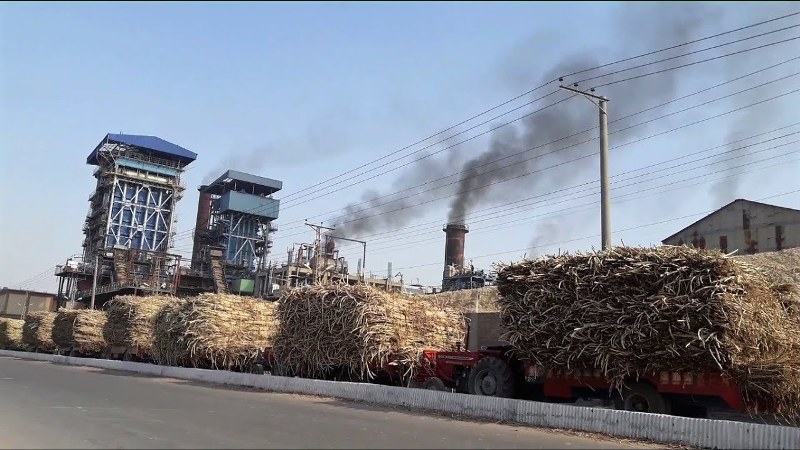 Sugar mill