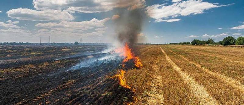 Stubble Burning capsule