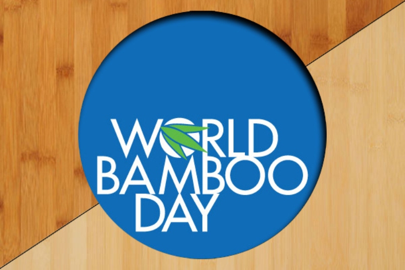 bamboo