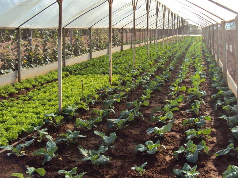 farming