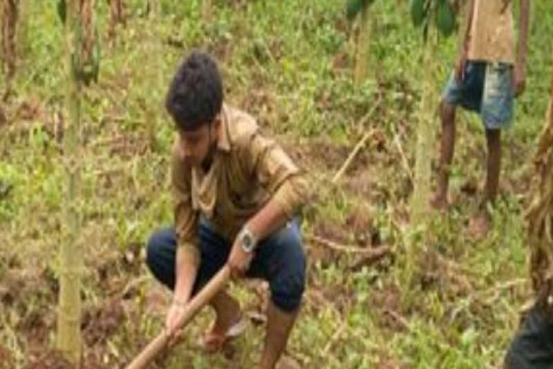 farmer