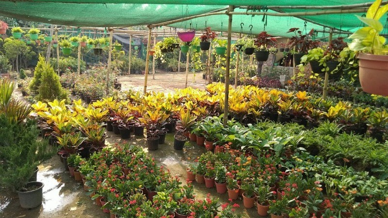 nursery