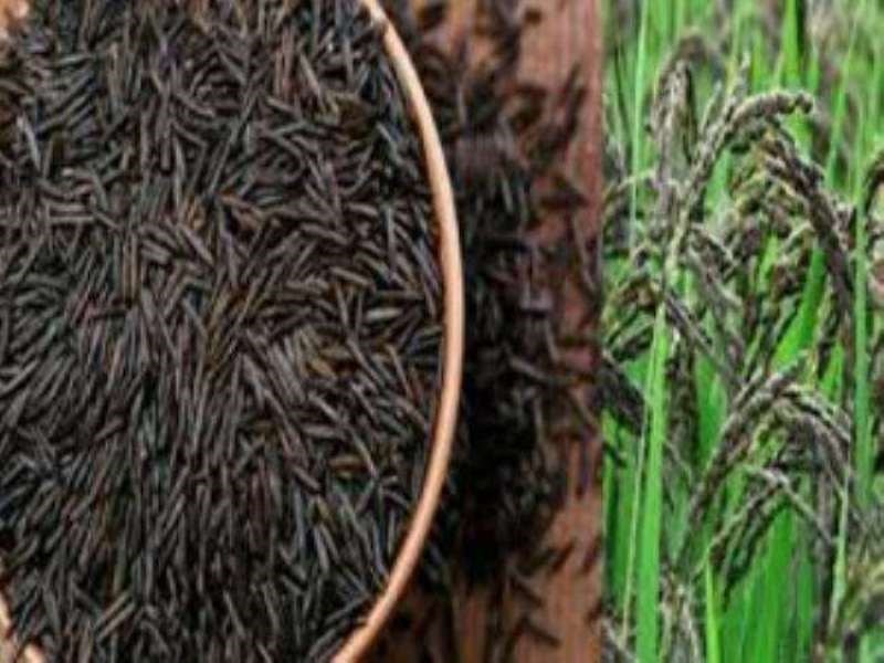 black rice