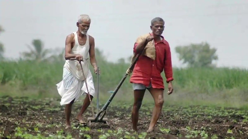 kisan