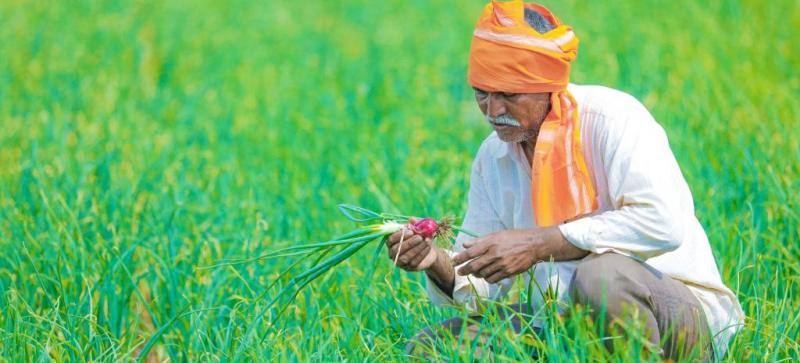 kisan
