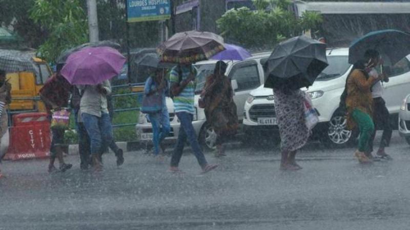 Rain
