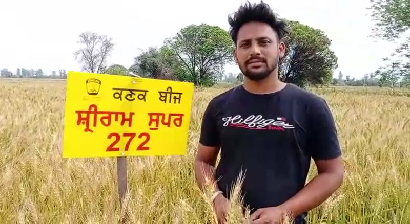 farmer