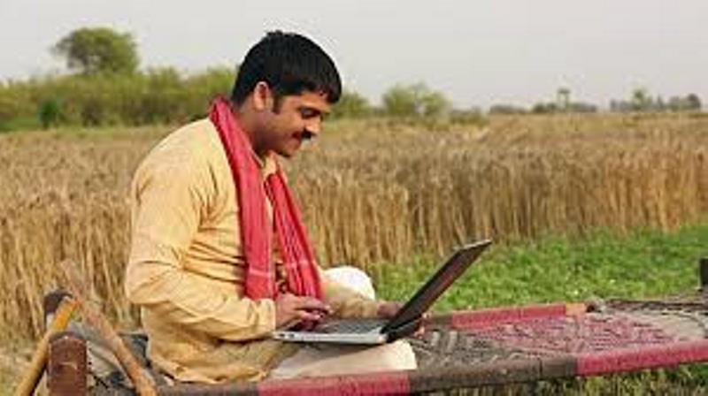 Farmer