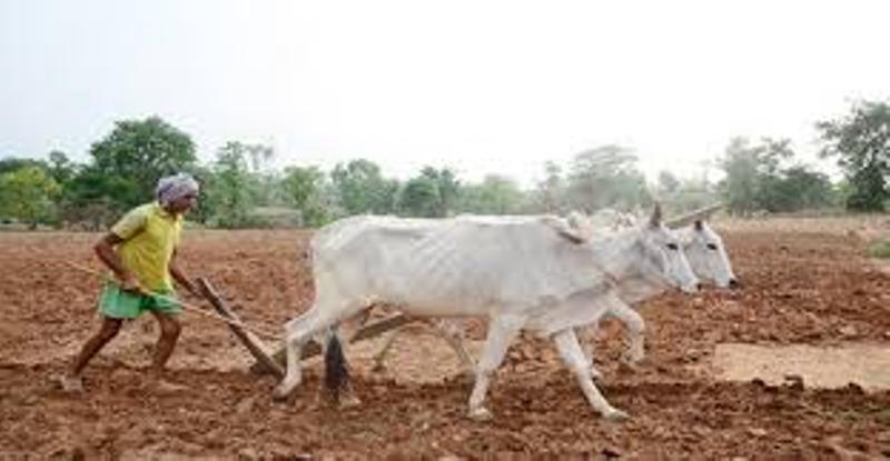 kheti
