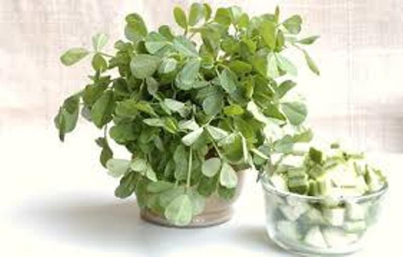 Fenugreek Leaves