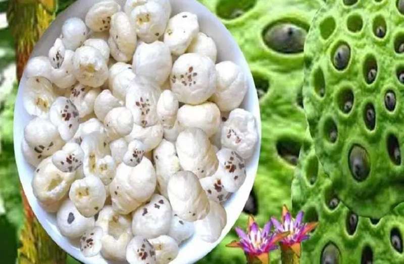 makhana