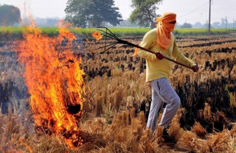 Agriculture