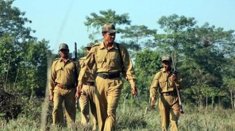 Forest department