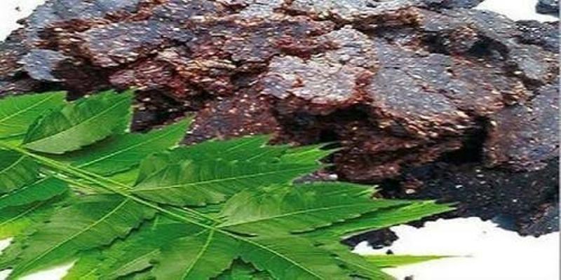 Neem organic manure